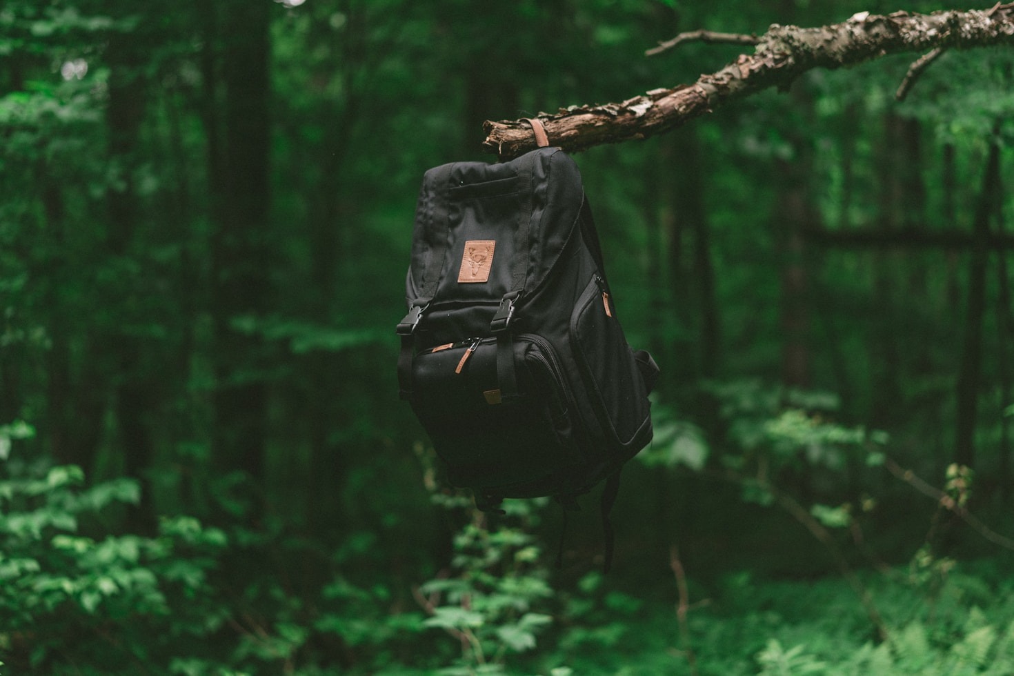 What to Do When You Find Something Valuable